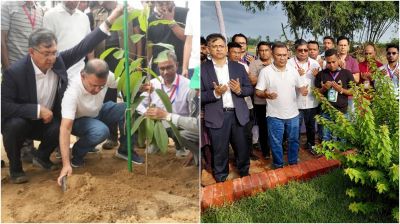 ২৫ কোটি বৃক্ষরোপণ কর্মসূচির উদ্বোধন ও শহিদ ওয়াসিমের কবর জিয়ারত করলেন প্রধানমন্ত্রী