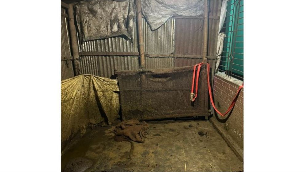 শেরপুরে গোয়ালঘর ভেঙে তিনটি গরু চুরি, থানায় জিডি
