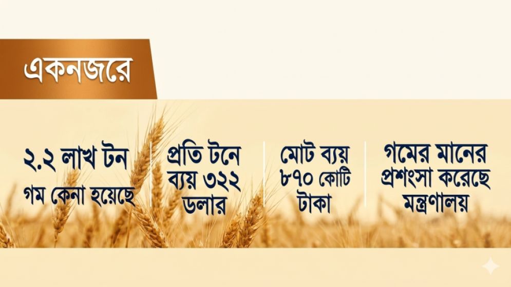 যুক্তরাষ্ট্রের গম টনপ্রতি ২৪ ডলার বেশি দিয়ে কিনছে বাংলাদেশ