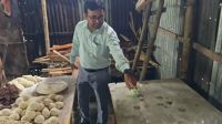 বগুড়ায় নিষিদ্ধ রাসায়নিক দিয়ে ফুচকা তৈরি, মালিকের ১ বছরের কারাদণ্ড