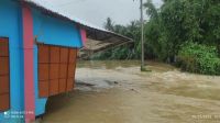 অতিবৃষ্টি ও পাহাড়ি ঢলে কলমাকান্দায় সড়ক, কৃষিজমি ও মৎস্য খাতে ব্যাপক ক্ষতি