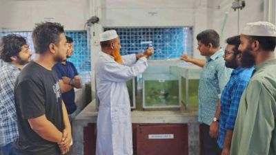 এবার কই-বাটাসহ ৫ প্রজাতির দেশীয় মাছে মিলল মাইক্রোপ্লাস্টিক