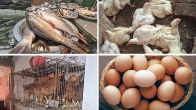 মাছ, মুরগি ও ডিমের দামে হিমশিম খাচ্ছেন ক্রেতারা