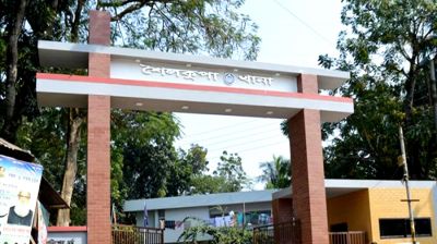 ঝিনাইদহে ঘাস কাটার মেশিনে বিদ্যুৎস্পৃষ্টে স্বামী-স্ত্রীর মৃত্যু