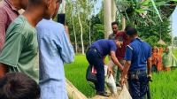 নাগেশ্বরীতে ধানের জমি থেকে মানুষের খণ্ডিত পা উদ্ধার
