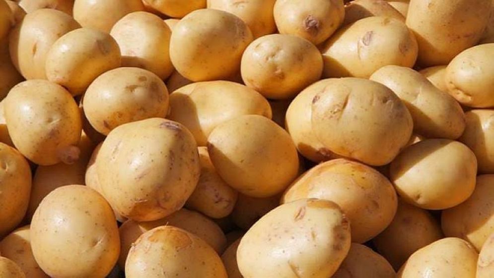 আলু বেশিদিন ভালো রাখার উপায়