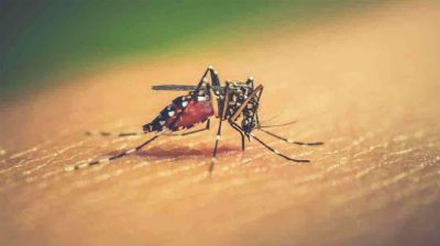 ২৪ ঘণ্টায় ডেঙ্গুতে ৮ জনের মৃত্যু