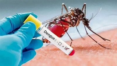 ২৪ ঘণ্টায় ডেঙ্গুতে ৮ জনের মৃত্যু, হাসপাতালে ভর্তি ১৭৩৩