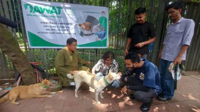 রাজধানীর সব পথকুকুরকে টিকাদান শুরু করেছে গুলশান সোসাইটি এবং দাওয়াত