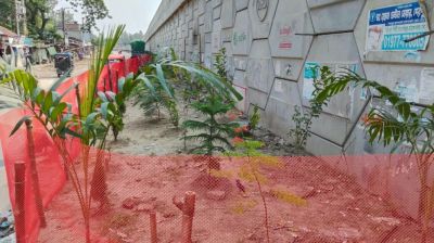 ছোনকা বাজার আন্ডারপাসের দুই পাশে অবৈধ দোকান উচ্ছেদ, শোভাবর্ধন গাছ রোপণ