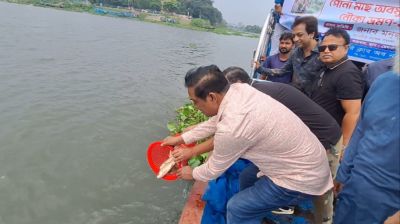 নরসিংদীর মেঘনা নদীতে রোটারি ক্লাবের মাছের পোনা অবমুক্ত