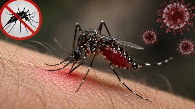 ২৪ ঘণ্টায় ডেঙ্গুতে ৯ জনের মৃত্যু