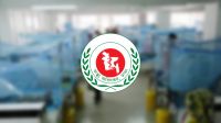 ডেঙ্গু নিয়ে হাসপাতালে ভর্তি লাখ ছাড়াল, মোট প্রাণহানি ৩০৭